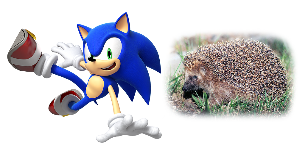 Sonic and Hedgehog